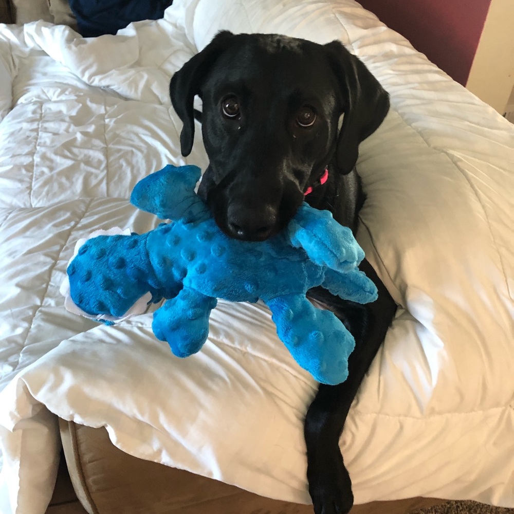 Meet your Posher, Kimberly